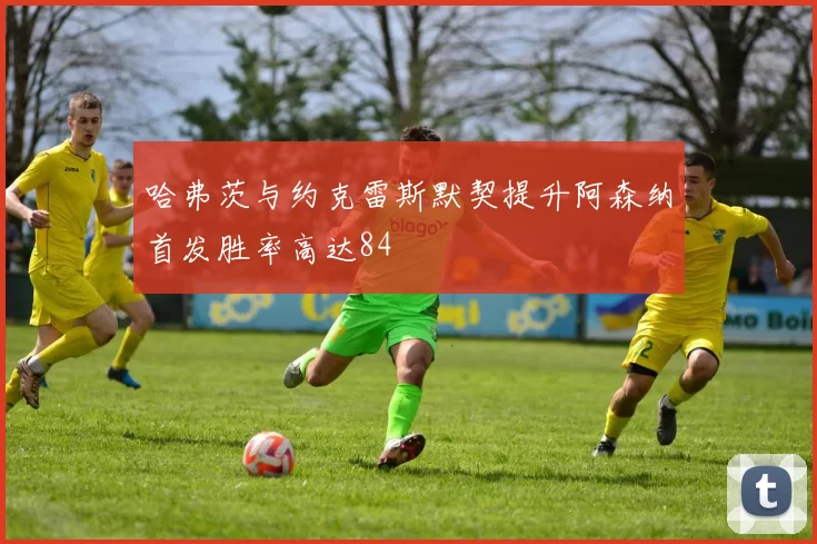 哈弗茨与约克雷斯默契提升阿森纳首发胜率高达84